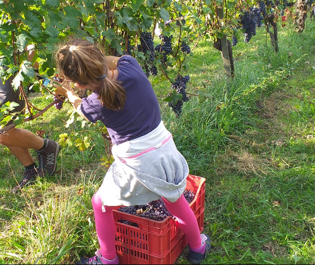 i genitori della Scuola Steiner Varese accompagnano i loro figli durante le uscite didattiche